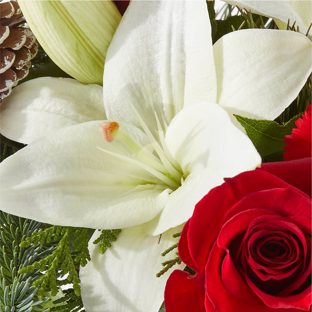 Oh So Jolly Bouquet – BRICK HOUSE FLORIST & GIFTS, Staunton IL