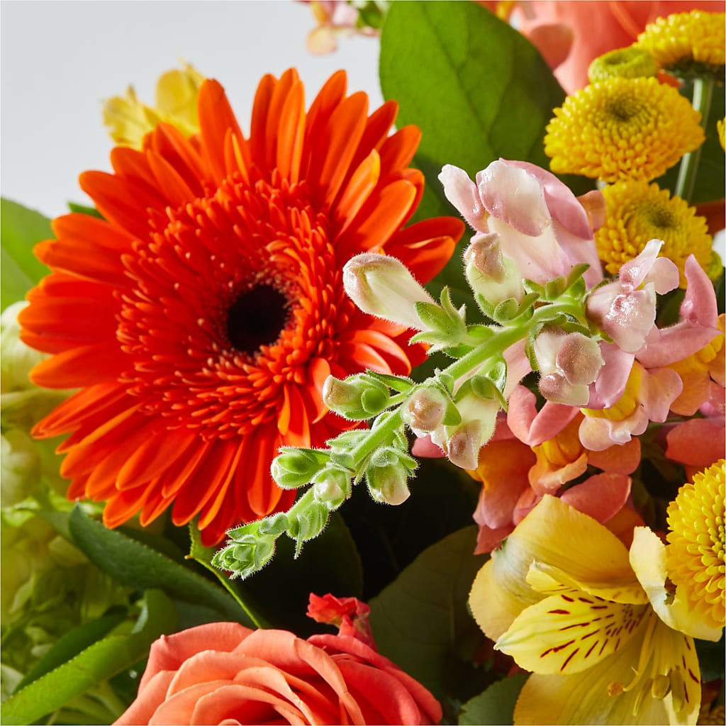 Autumn Sunshine Bouquet – BRICK HOUSE FLORIST & GIFTS, Staunton IL