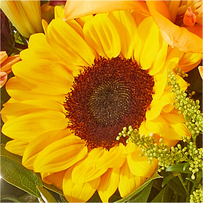 Seasons Change Bouquet – BRICK HOUSE FLORIST & GIFTS, Staunton IL
