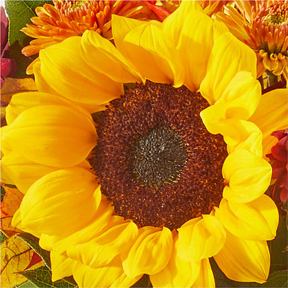 Sunny Side Bouquet – BRICK HOUSE FLORIST & GIFTS, Staunton IL