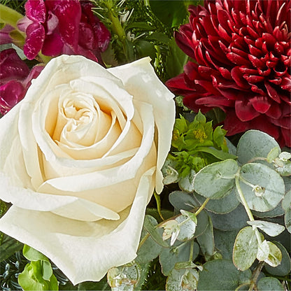 Cranberry Fizz Bouquet – BRICK HOUSE FLORIST & GIFTS, Staunton IL