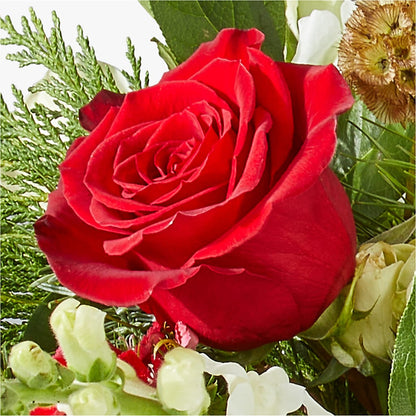Deck the Halls Bouquet – BRICK HOUSE FLORIST & GIFTS, Staunton IL