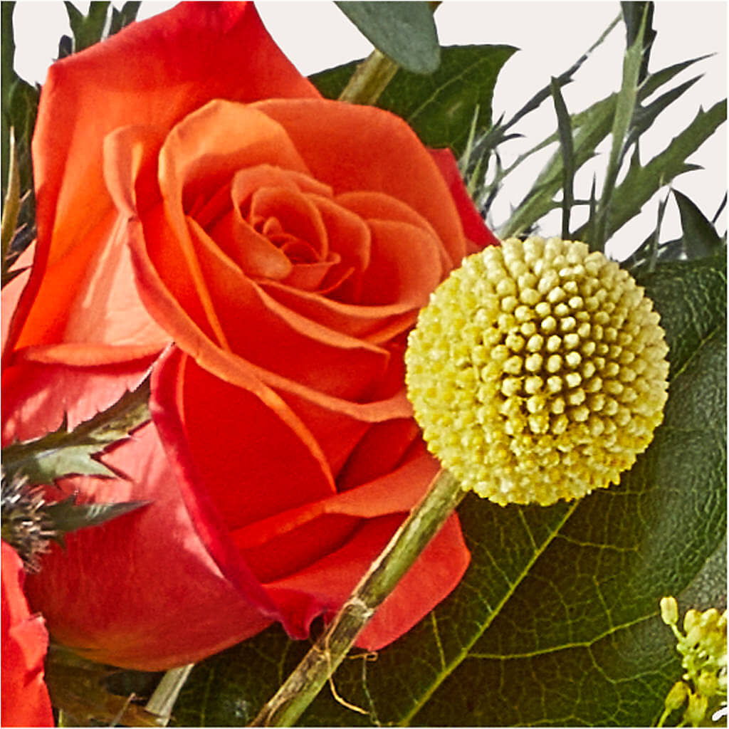 Disco Bouquet – BRICK HOUSE FLORIST & GIFTS, Staunton IL