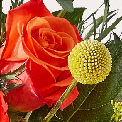 Disco Bouquet – BRICK HOUSE FLORIST & GIFTS, Staunton IL