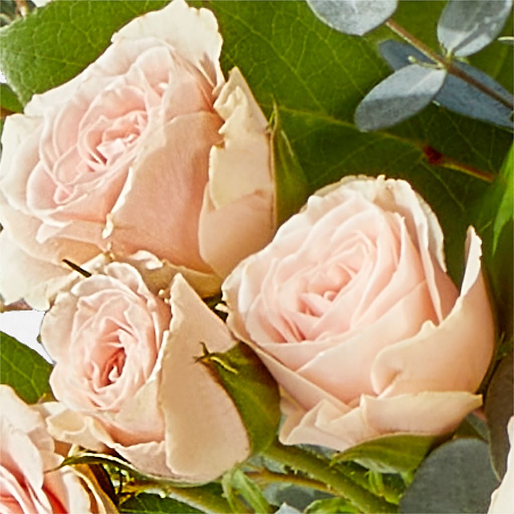 Inspired Bouquet – BRICK HOUSE FLORIST & GIFTS, Staunton IL
