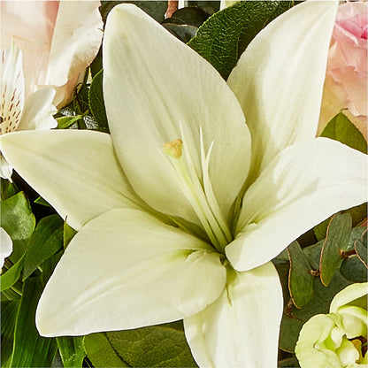 Ballet Slippers Bouquet – BRICK HOUSE FLORIST & GIFTS, Staunton IL