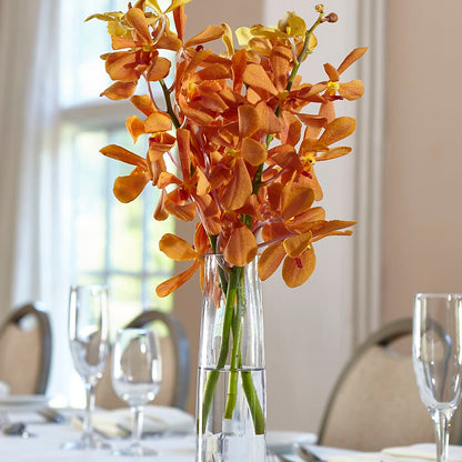 Orange Mokara Bud Vase – BRICK HOUSE FLORIST & GIFTS, Staunton IL
