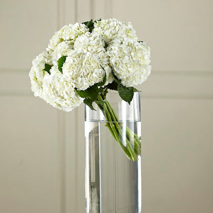 White Hydrangea Hand-Tied Bouquet – BRICK HOUSE FLORIST & GIFTS, Staunton IL