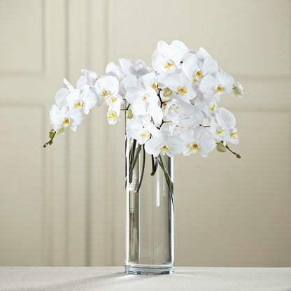 White Phalaenopsis Bouquet – BRICK HOUSE FLORIST & GIFTS, Staunton IL